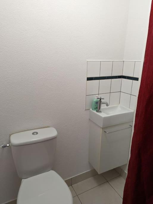 Appartement Plein Centre Saint Die Des Vosges Eksteriør billede